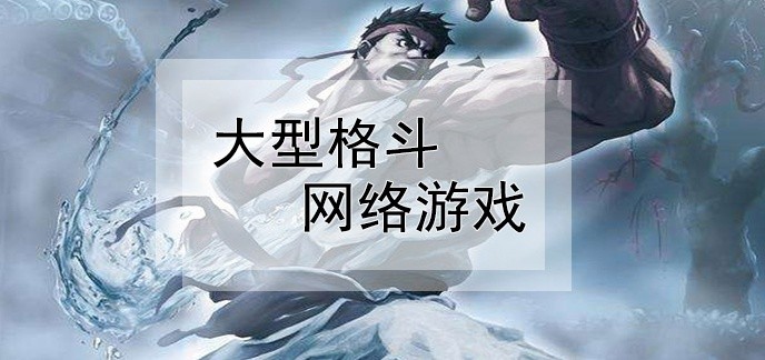 大型格斗网络游戏