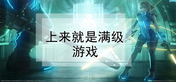 上线满等级的游戏