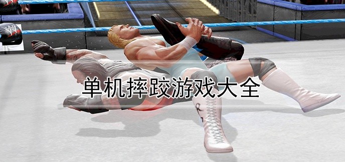单机摔跤游戏大全