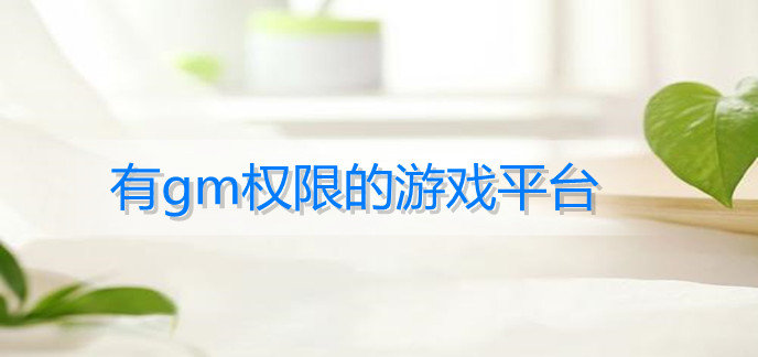 有gm权限的游戏平台
