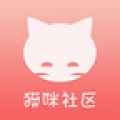 猫咪社区 猫咪社区