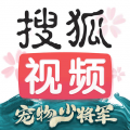 搜狐视频
