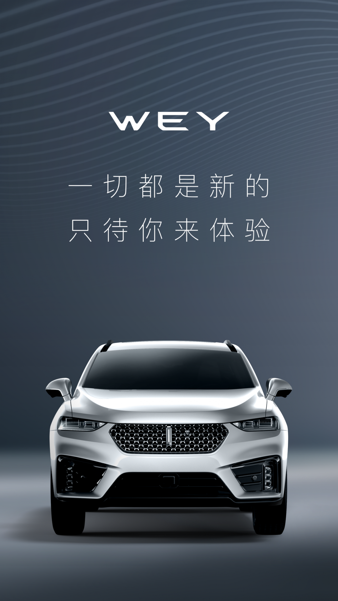 WEY智享互联