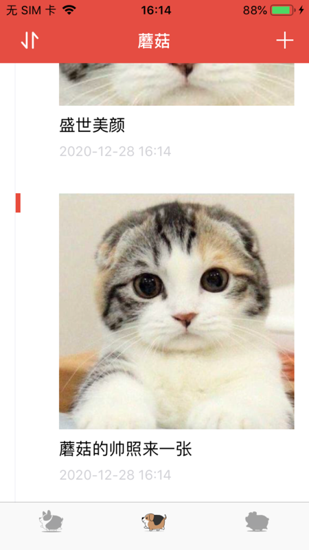 爱宠成长记app
