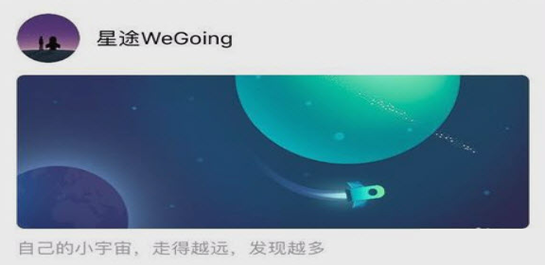 星途wegoing辅助