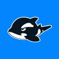 网鱼app