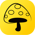 蘑菇丁app