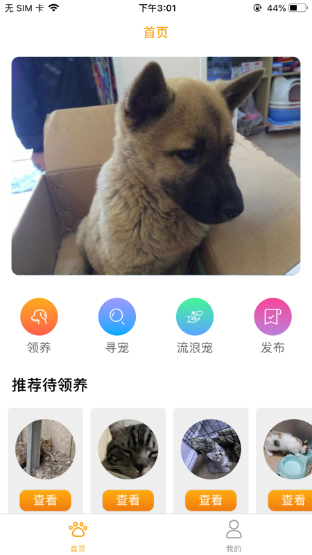 宠爱社app