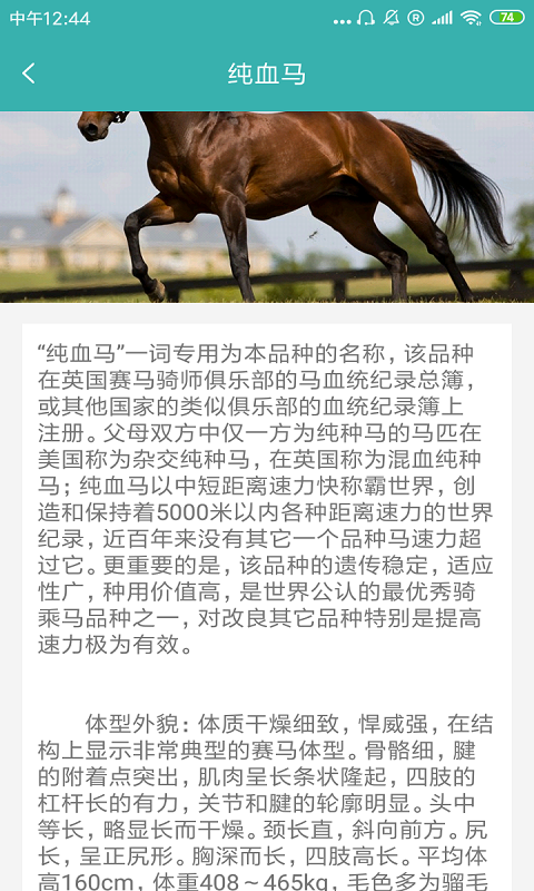 赛马会