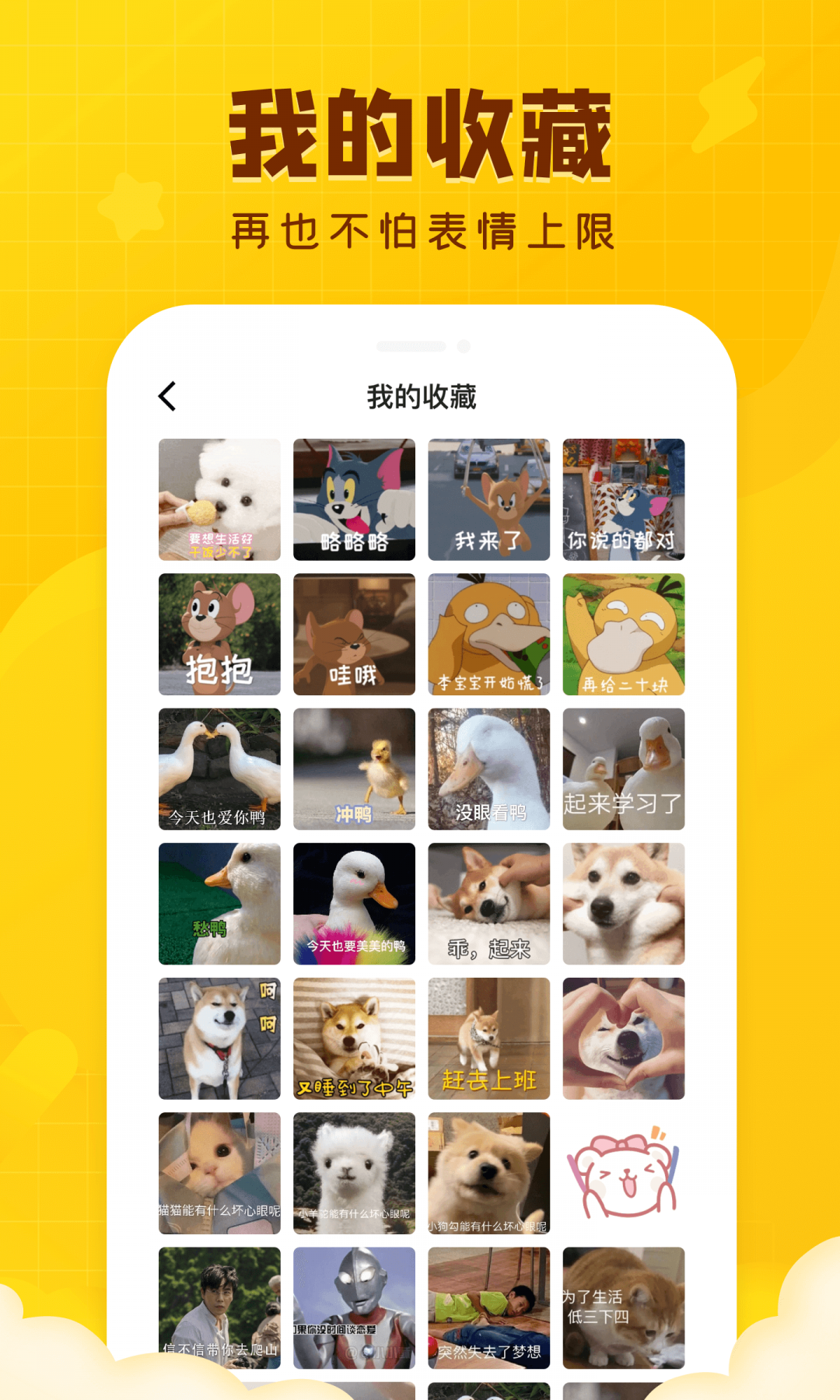 闪萌表情app