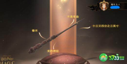 哈利波特魔法觉醒刻骨铭心/凤皇/厉火搭配建议