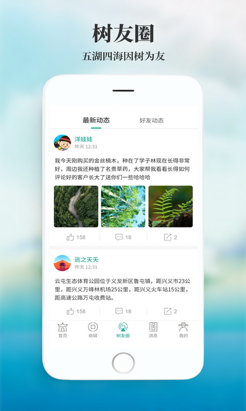神木林