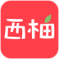 西柚app