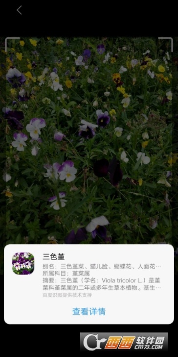Jovi语音