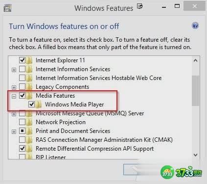 GTA5PC版安装出现未检测到Media Player怎么办