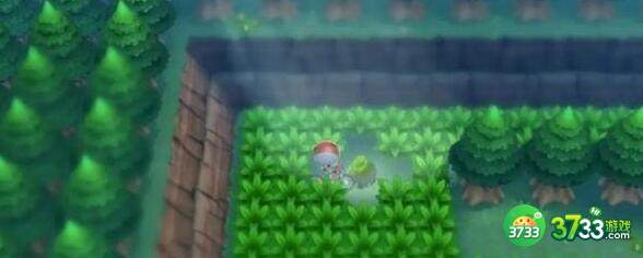 宝可梦晶灿钻石明亮珍珠伊布进化过程详解