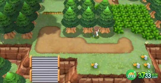 宝可梦晶灿钻石明亮珍珠宝芬食物食谱配方搭配