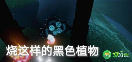 光遇1.12每日任务禁阁冥想位置位置