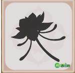 原神灯中妙影第三阶段解谜答案