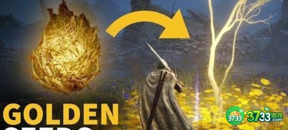艾尔登法环黄金种子刷新位置详解