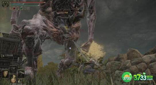 艾尔登法环信仰战士伤害玩法详解