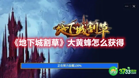 地下城割草大黄蜂武器怎么搭配 大黄蜂武器搭配攻略[多图]图片2