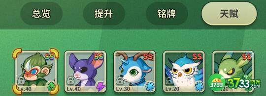 冒险与精灵雷煞搭配及伤害一览