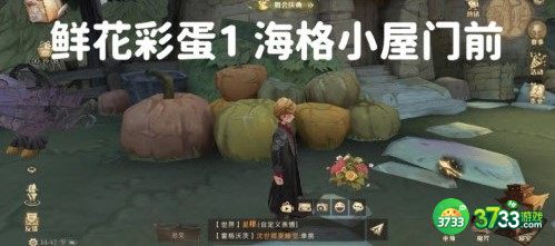 哈利波特魔法觉醒鲜花彩蛋刷新位置大全