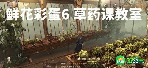 哈利波特魔法觉醒鲜花彩蛋刷新位置大全