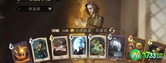 哈利波特魔法觉醒小天狼星回响卡组搭配