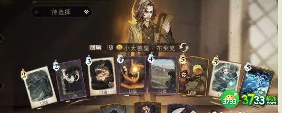 哈利波特魔法觉醒小天狼星回响卡组搭配