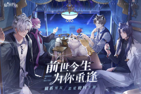猫之宿约者游戏截图4