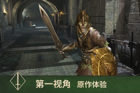 上古卷轴：刀锋