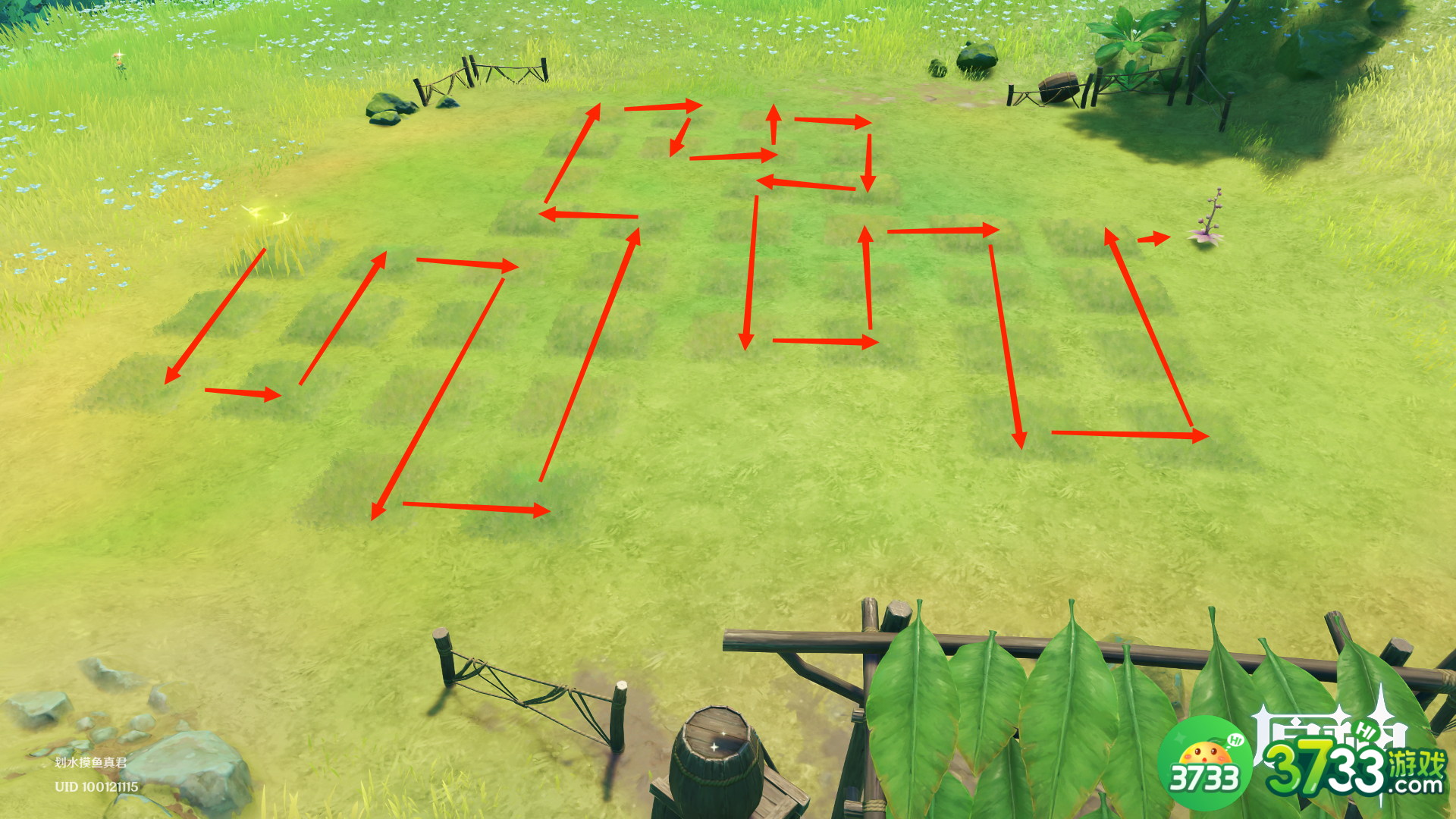 原神水天共书寻找12块苗圃任务完成攻略