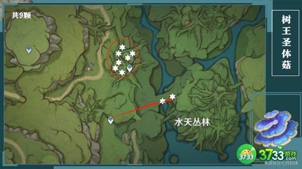 原神树王圣体菇采集路线一览