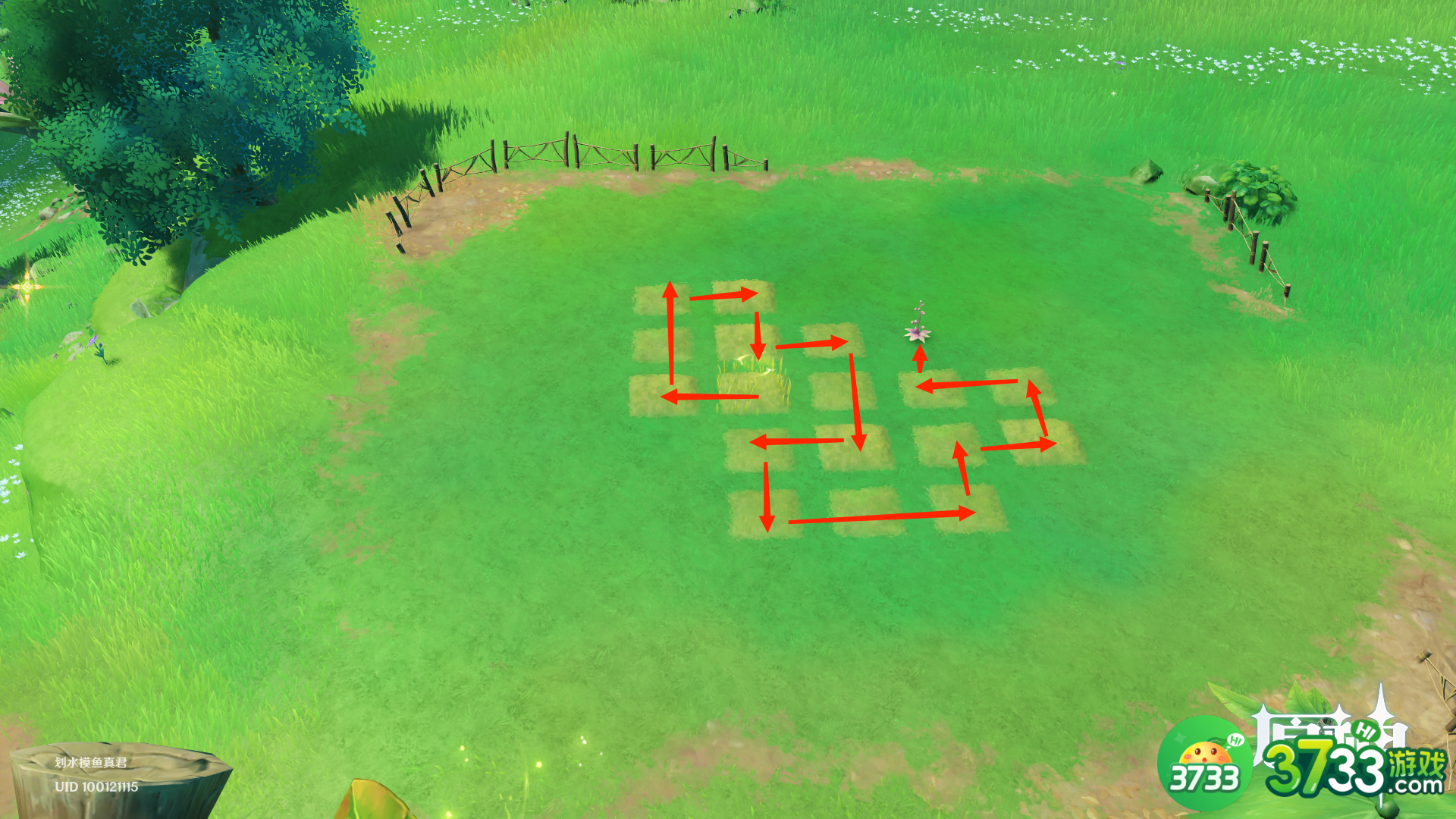 原神水天共书寻找12块苗圃任务完成攻略