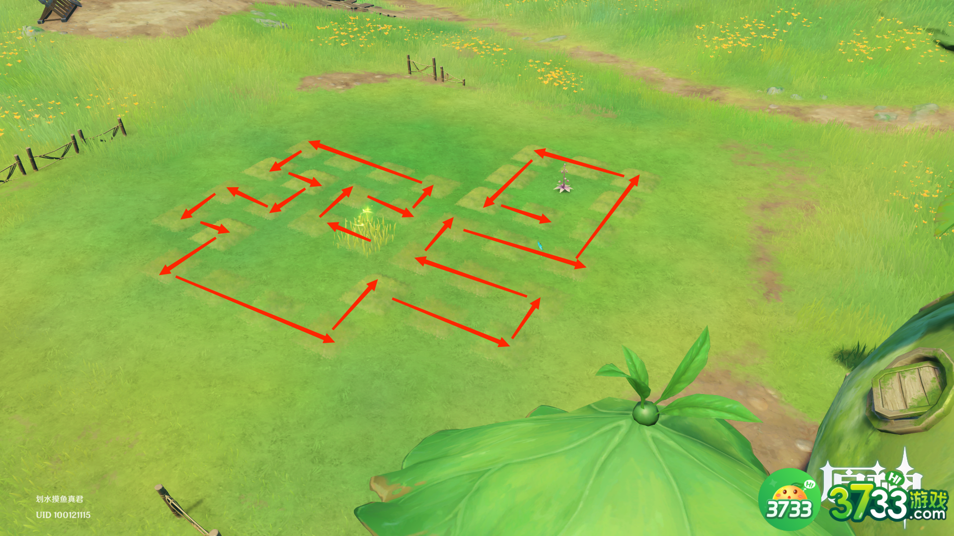 原神水天共书寻找12块苗圃任务完成攻略