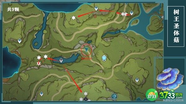 原神树王圣体菇采集路线一览