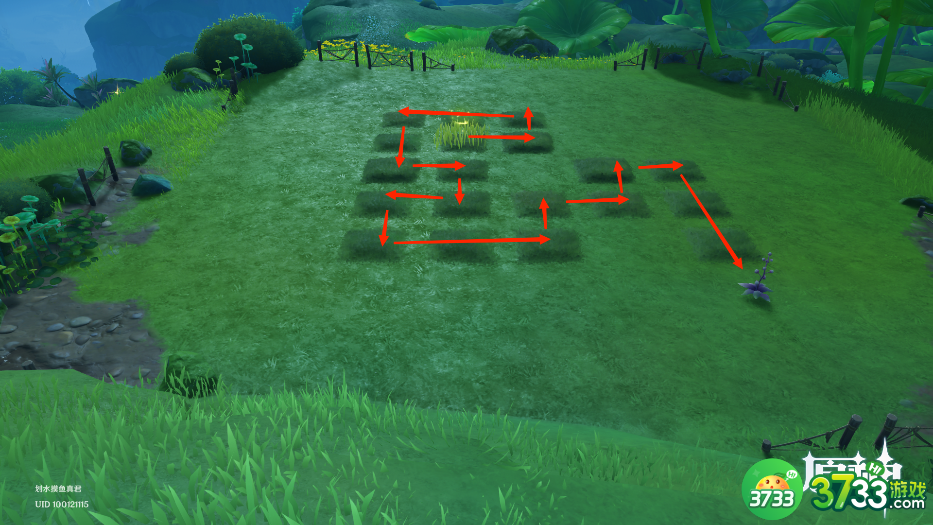 原神水天共书寻找12块苗圃任务完成攻略