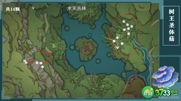 原神树王圣体菇采集路线一览