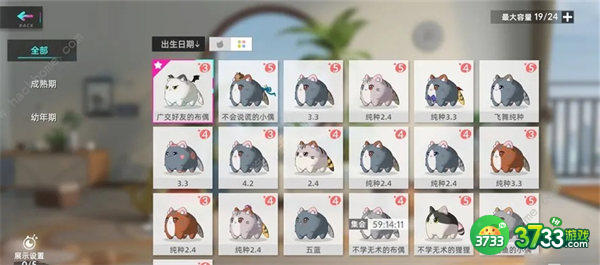 猫之城收藏品解谜一览