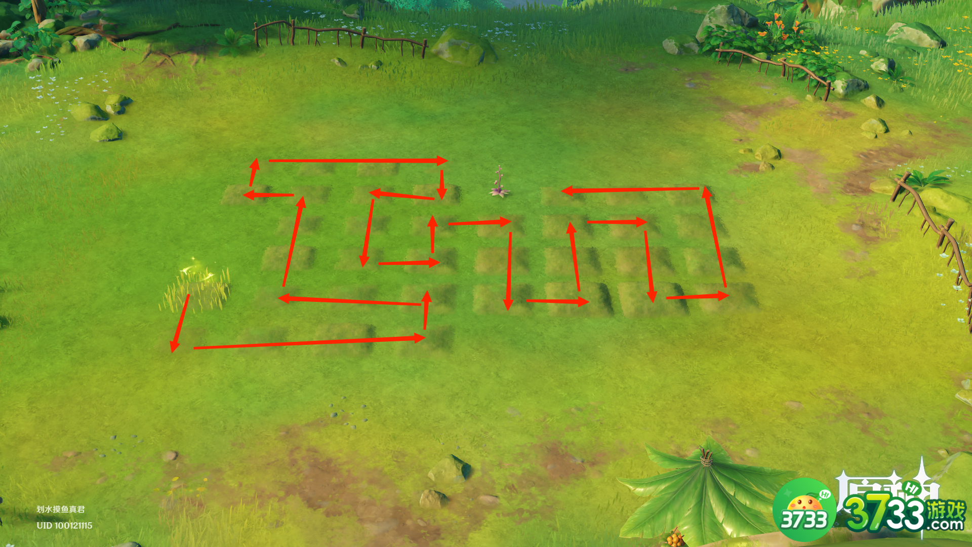 原神水天共书寻找12块苗圃任务完成攻略