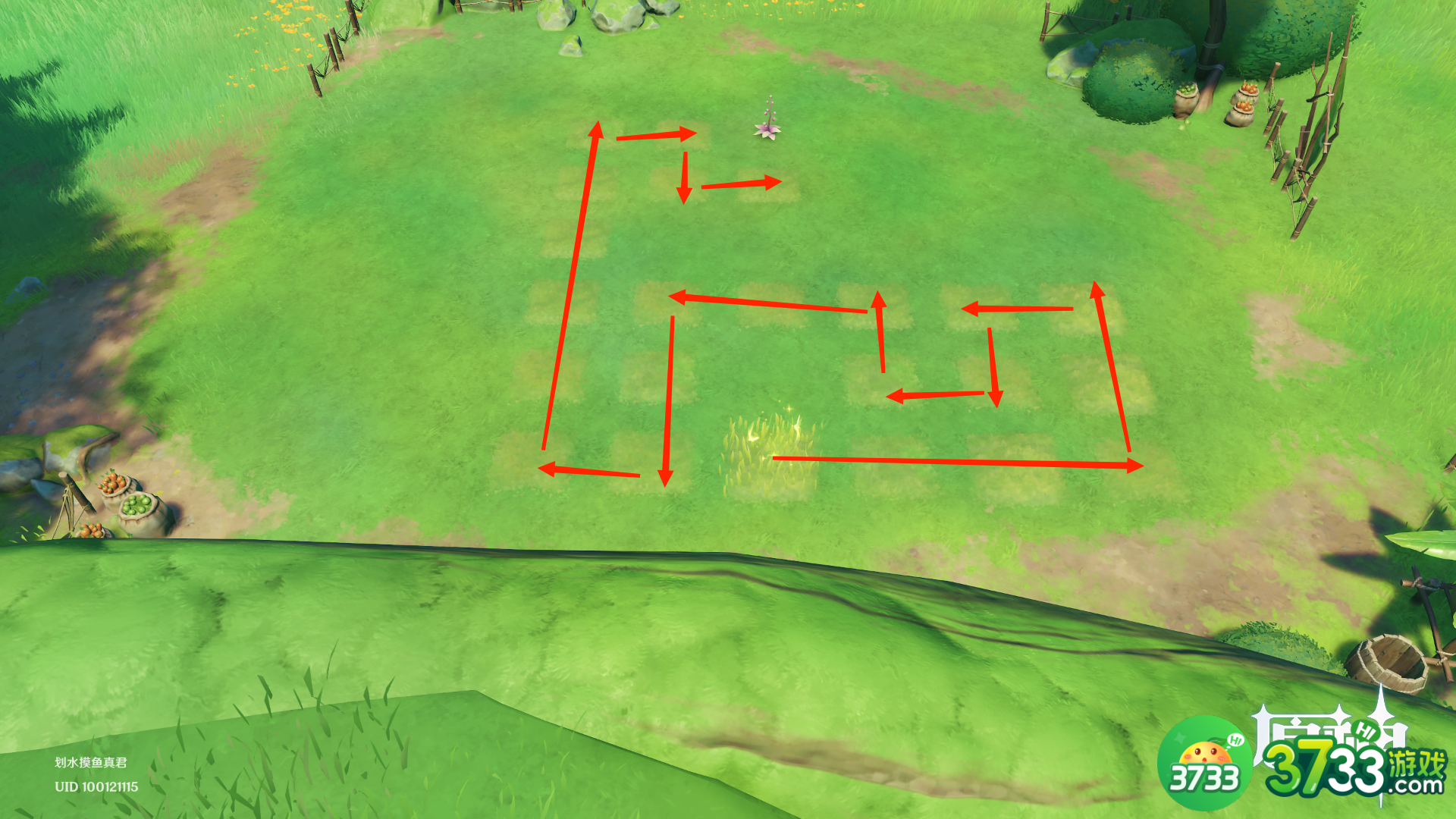 原神水天共书寻找12块苗圃任务完成攻略