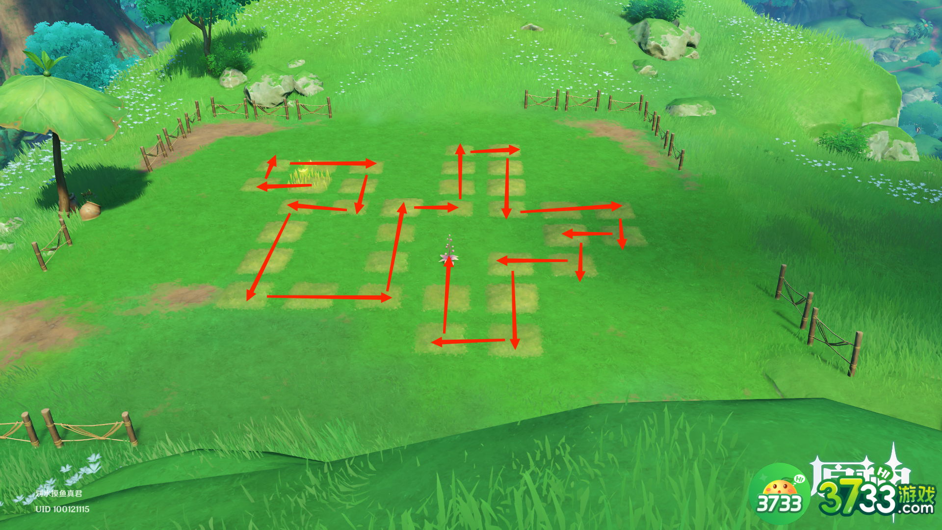 原神水天共书寻找12块苗圃任务完成攻略