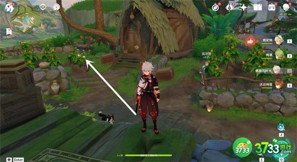 原神3.1帕蒂莎兰最佳采集路线一览