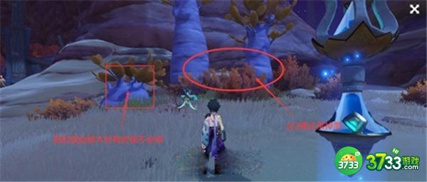 原神刺葵木最快采集路线一览