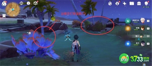 原神柽木最快采集路线一览