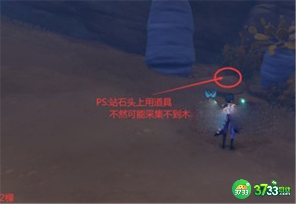 原神刺葵木最快采集路线一览