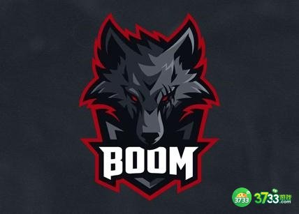 dota2BOOM战队成员名单最新一览2022