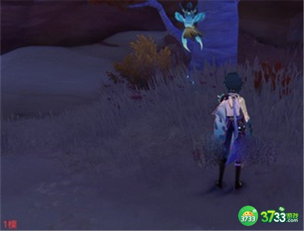 原神刺葵木最快采集路线一览